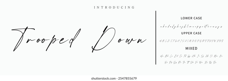 Alfabeto de Vector dibujado a mano. Fuente de script de firma monoline moderna. Elegante fuente de firma. Mejor alfabeto Hermosa caligrafía Signature letras de fuente