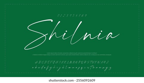 Hand drawn vector alphabet. Modern monoline signature script font. Elegant Signature Font. Best Alphabet Beautiful Calligraphy Signature Font