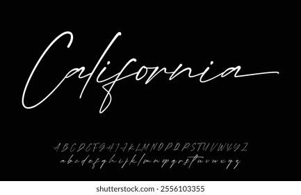 Hand drawn vector alphabet. Modern monoline signature script font. Elegant Signature Font. Best Alphabet Beautiful Calligraphy Signature Font