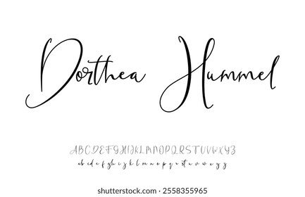 Hand drawn vector alphabet. Modern monoline signature script font. Elegant Signature Font. Best Alphabet Beautiful Calligraphy Signature Font lettering handwritten