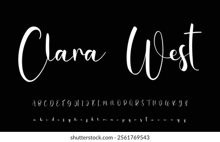 Hand drawn vector alphabet. Modern monoline signature script font. Elegant Signature Font. Best Alphabet Beautiful Calligraphy Signature Font