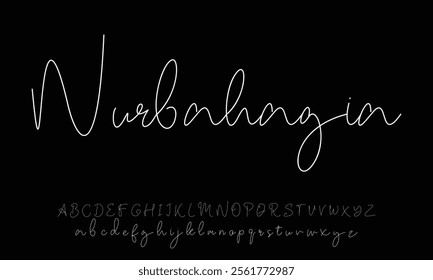 Hand drawn vector alphabet. Modern monoline signature script font. Elegant Signature Font. Best Alphabet Beautiful Calligraphy Signature Font