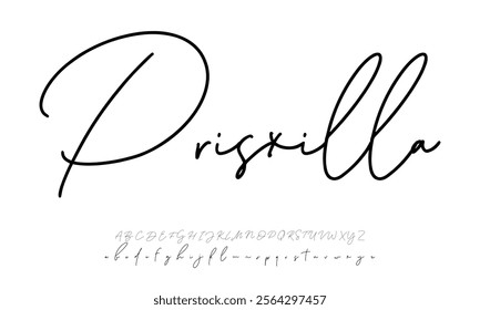 Hand drawn vector alphabet. Modern monoline signature script font. Elegant Signature Font. Best Alphabet Beautiful Calligraphy Signature Font
