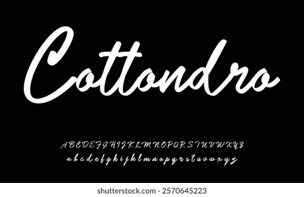 Hand drawn vector alphabet. Modern monoline signature script font. Elegant Signature Font. Best Alphabet Beautiful Calligraphy Signature Font