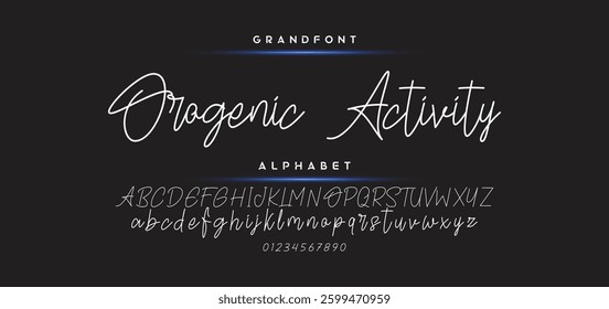 Hand drawn vector alphabet. Modern monoline signature script font. Elegant Signature Font. Best Alphabet Beautiful Calligraphy Signature Font
