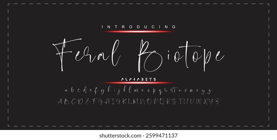 Hand drawn vector alphabet. Modern monoline signature script font. Elegant Signature Font. Best Alphabet Beautiful Calligraphy Signature Font