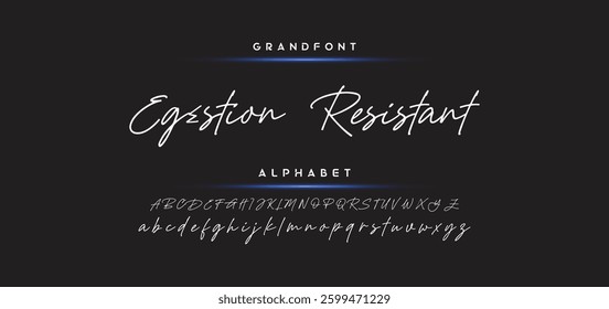 Hand drawn vector alphabet. Modern monoline signature script font. Elegant Signature Font. Best Alphabet Beautiful Calligraphy Signature Font