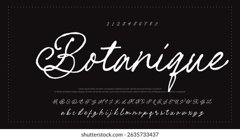 Hand drawn vector alphabet. Modern monoline signature script font. Elegant Signature Font. Best Alphabet Beautiful Calligraphy Signature Font