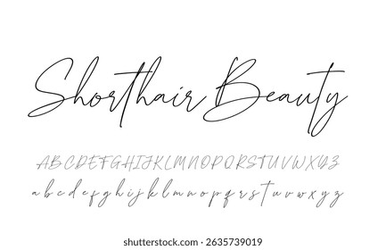 Hand drawn vector alphabet. Modern monoline signature script font. Elegant Signature Font. Best Alphabet Beautiful Calligraphy Signature Font lettering