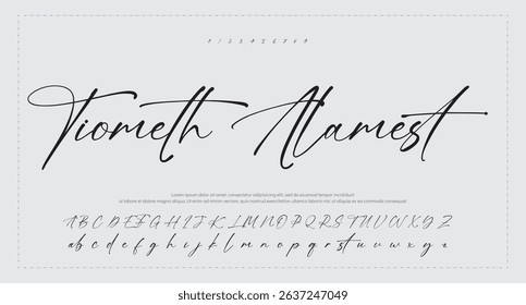 Hand drawn vector alphabet. Modern monoline signature script font. Elegant Signature Font. Best Alphabet Beautiful Calligraphy Signature Font