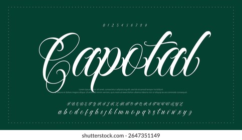 Alfabeto vetorial desenhado à mão. Fonte moderna de script de assinatura monocromática. Fonte de assinatura elegante. Melhor Alfabeto Bela Caligrafia Assinatura Fonte