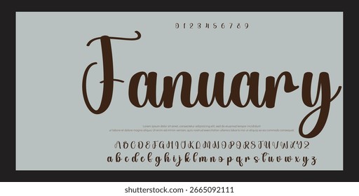 Hand drawn vector alphabet. Modern monoline signature script font. Elegant Signature Font. Best Alphabet Beautiful Calligraphy Signature Font