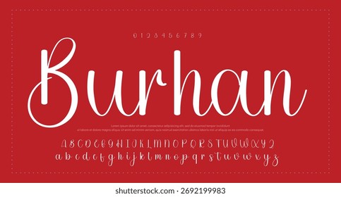 Hand drawn vector alphabet. Modern monoline signature script font. Elegant Signature Font. Best Alphabet Beautiful Calligraphy Signature Font