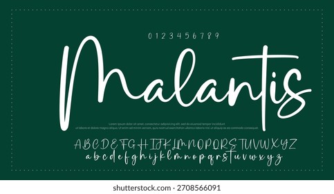 Alfabeto de Vector dibujado a mano. Fuente de script de firma monoline moderna. Elegante fuente de firma. Mejor Alfabeto Hermosa Caligrafía Firma Letra de fuente escrita a mano
