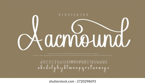 Alfabeto de Vector dibujado a mano. Fuente de script de firma monoline moderna. Elegante fuente de firma. Mejor alfabeto Hermosa caligrafía Signature fuente. Ilustración vectorial