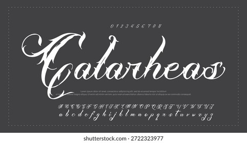 Alfabeto de Vector dibujado a mano. Fuente de script de firma monoline moderna. Elegante fuente de firma. Mejor alfabeto Hermosa caligrafía Signature fuente. Ilustración vectorial