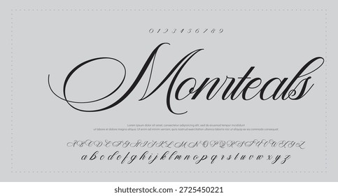 Alfabeto de Vector dibujado a mano. Fuente de script de firma monoline moderna. Elegante fuente de firma. Mejor alfabeto Hermosa caligrafía Signature fuente. Ilustración vectorial