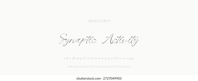 Handgezeichnetes Vektoralphabet. Moderne Schriftart für Monoline-Signaturen. Elegante Signatur. Bestes Alphabet Schöne Kalligrafie Signatur Schriftart