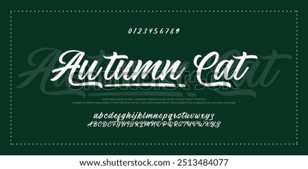 Hand drawn vector alphabet. Modern monoline signature script font. Elegant Signature Font. Best Alphabet Beautiful Calligraphy Signature Font