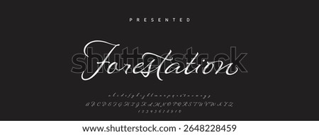 Hand drawn vector alphabet. Modern monoline signature script font. Elegant Signature Font. Best Alphabet Beautiful Calligraphy Signature Font