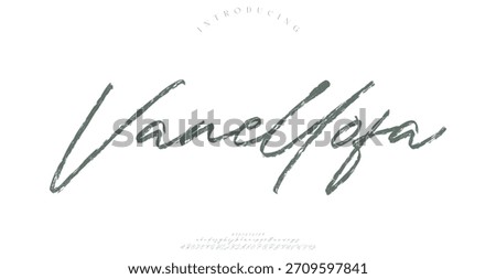Hand drawn vector alphabet. Modern monoline signature script font. Elegant Signature Font. Best Alphabet Beautiful Calligraphy Signature Font