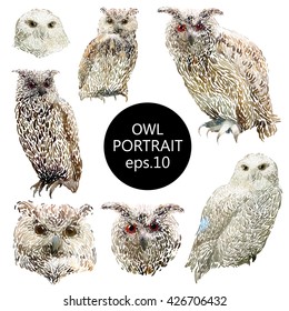 Hand drawn vector amazing animal illustration horned owl portrait, eagle-owl, snowy owl. Beautiful art with wild owl bird. Isolated owl on white background. 