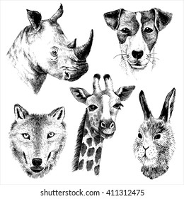 hand drawn vector animals set