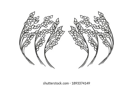 Arte vector dibujado a mano de los oídos de los cereales fue aislado sobre fondo blanco.