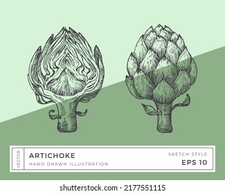 Hand Drawn Vector Artichoke Vegetable Illustration. Vegan Based Food Drawing With Colorful Background. Isolated