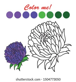 Hand drawn vector aster flower coloring book page. Kids and adult coloring book page element, educational game, smart time, print, poster.