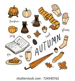 Hand Drawn Vector Autumn Collection Decoration Elements for Design Illustration with Pumpkin, Pine, Shawl, Leaf, Boots, Socks, and Pie