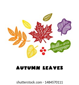 Hand drawn vector autumn leaves set. Design for poster, kitchen textiles, clothing and website