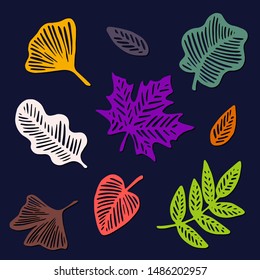 Hand drawn vector autumn leaves set. Design for poster, kitchen textiles, clothing and website