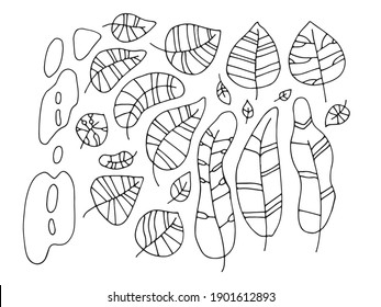 Hojas de otoño dibujadas a mano en estilo doodle. Diseño de afiches, productos textiles de cocina, ropa y sitio web