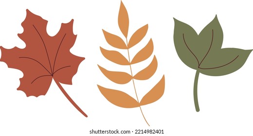 Hojas de otoño dibujadas a mano. Elementos de árbol simples en colores otoñales. Planta