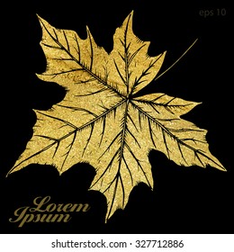 Hand drawn vector autumn maple leaf with gold acrylic texture on black background.