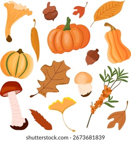 Conjunto de otoño de Vector dibujado a mano. Hojas, champiñones, bayas, nueces, calabaza. Ilustración colorida. Hola otoño. Pegatinas de otoño, tarjeta. Diseño plano.