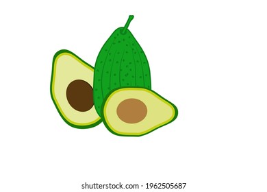 hand drawn vector, avocado fruit on white background