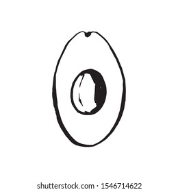 Hand drawn vector avocado on white background. Tropical illustration. Food concept for ecological product and advertising.