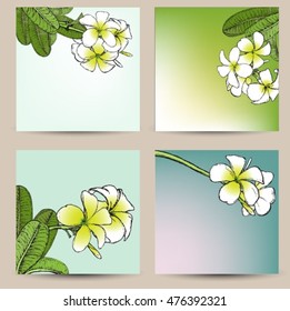 Hand drawn vector background plumeria for text.