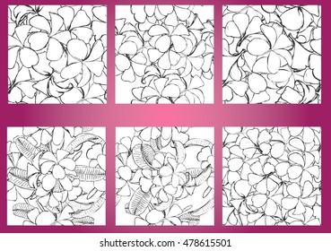 Hand drawn vector background plumeria seamless.