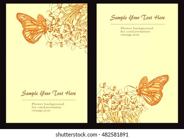 Hand drawn vector background rangoon creeper flower and butterflies  for text.