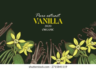 Fondo de Vector dibujado a mano con planta de vainilla