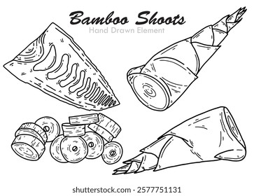 Hand Drawn vector of bamboo shoots, Vegetables, asian, diet, nutrition, food, healthy, fresh