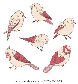 Hand drawn vector birds line art set. Cute little creatures in pastel colors isolated on white background. Wildlife contours.