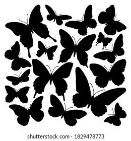 Hand drawn vector of black butterflies silhouettes on white background. Stock illustration of insects.