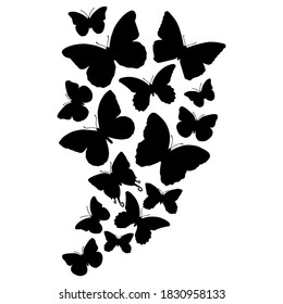 Vector dibujado a mano de siluetas de mariposas negras sobre fondo blanco. Ilustración bursátil de insectos.