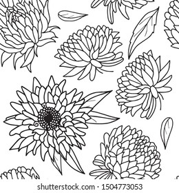 Hand drawn vector black and white aster flower seamless pattern. Wrapping paper decoration, fabric and textile print, wallpaper.