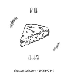 Hand drawn vector bleu gorgonzola cheese illustration. Line food image for design, menu, package. Lineart vintage retro isolated clipart