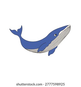 Hand drawn vector Blue Whale isolated transparent background. Editable stroke. EPS 10